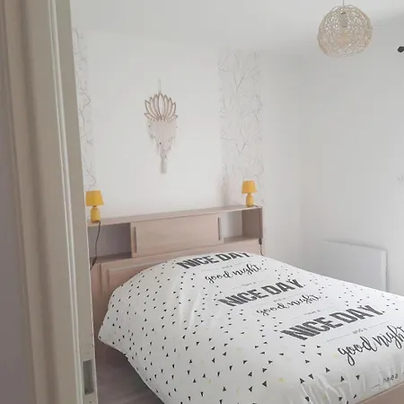 Les Oiseaux De Paradis Bias (Landes)