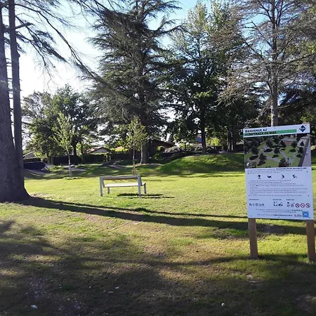 Les Oiseaux De Paradis