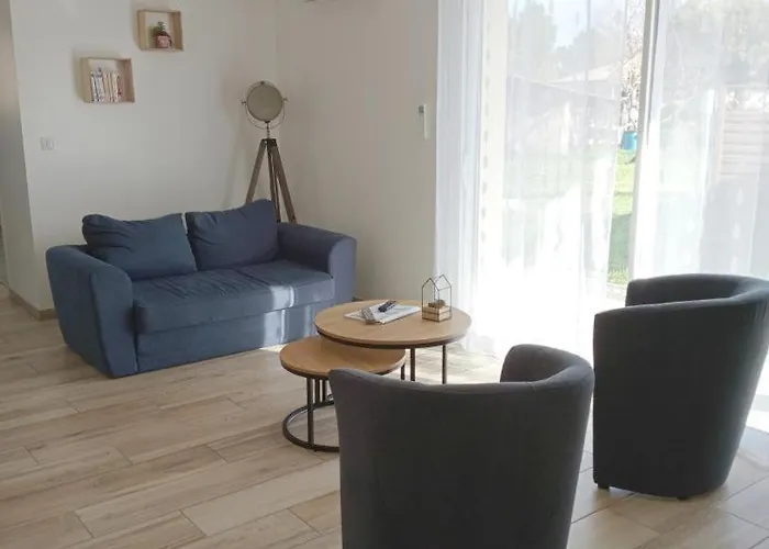 Les Oiseaux De Paradis