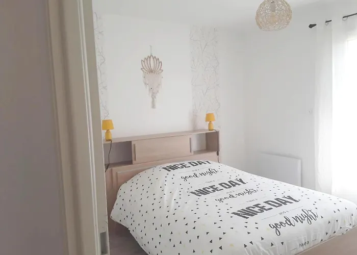 Les Oiseaux De Paradis Bias (Landes)