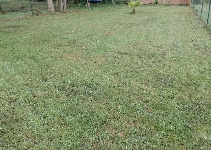 Les Oiseaux De Paradis بيت للعطل *