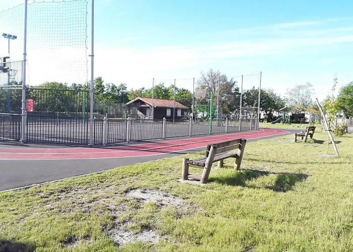 Les Oiseaux De Paradis