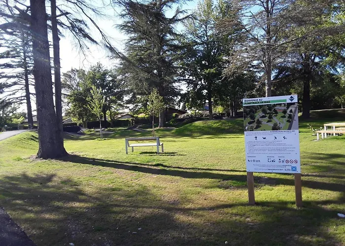 Les Oiseaux De Paradis