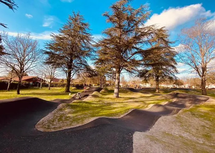 Les Oiseaux De Paradis *