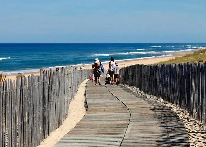 Les Oiseaux De Paradis