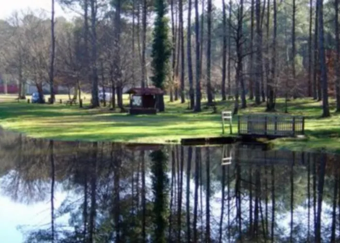 Les Oiseaux De Paradis Bias (Landes)